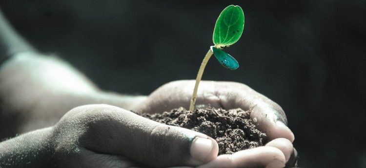 Leadership growth through 360° feedback