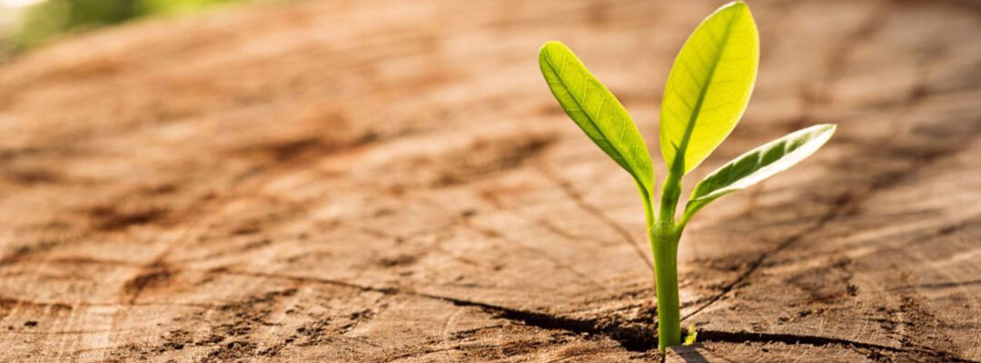 Embedding positive changes in your company